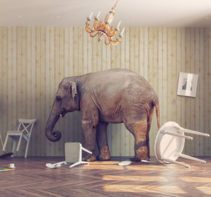 elephant knocked over furniture in house